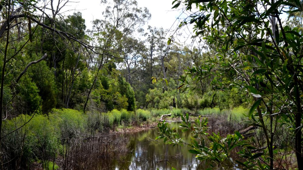 White Womans Waterhole 1