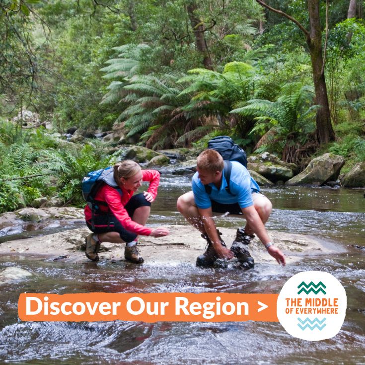 Tarra Bulga National Park