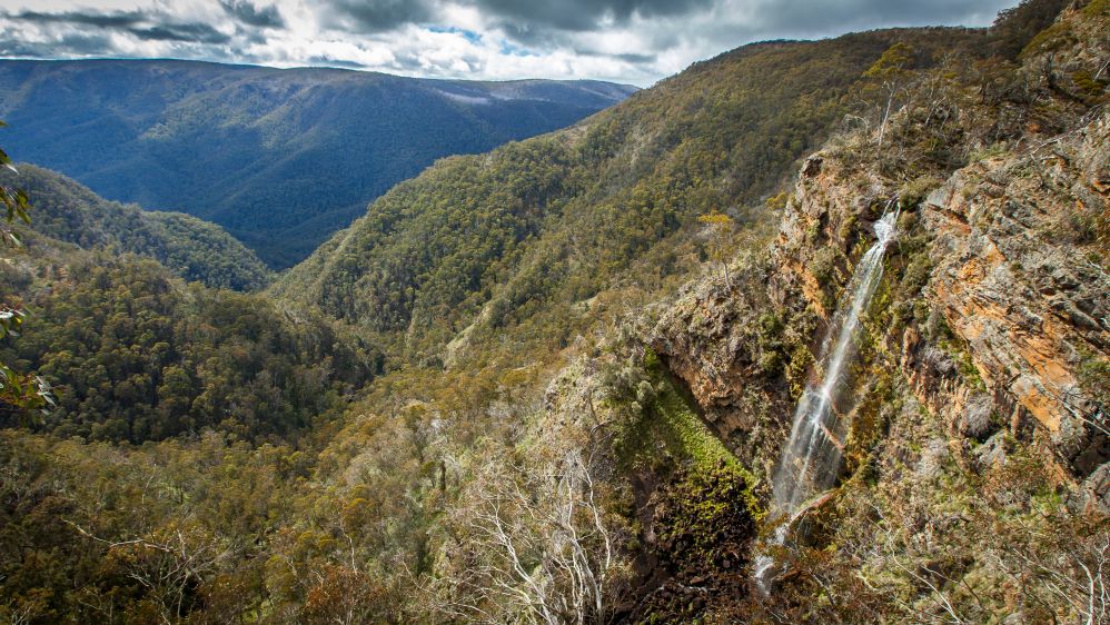 Piemans Falls