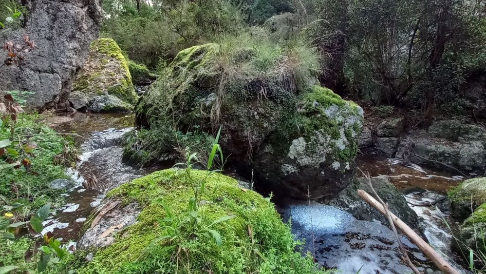 Nicholson Rocks Walking Track