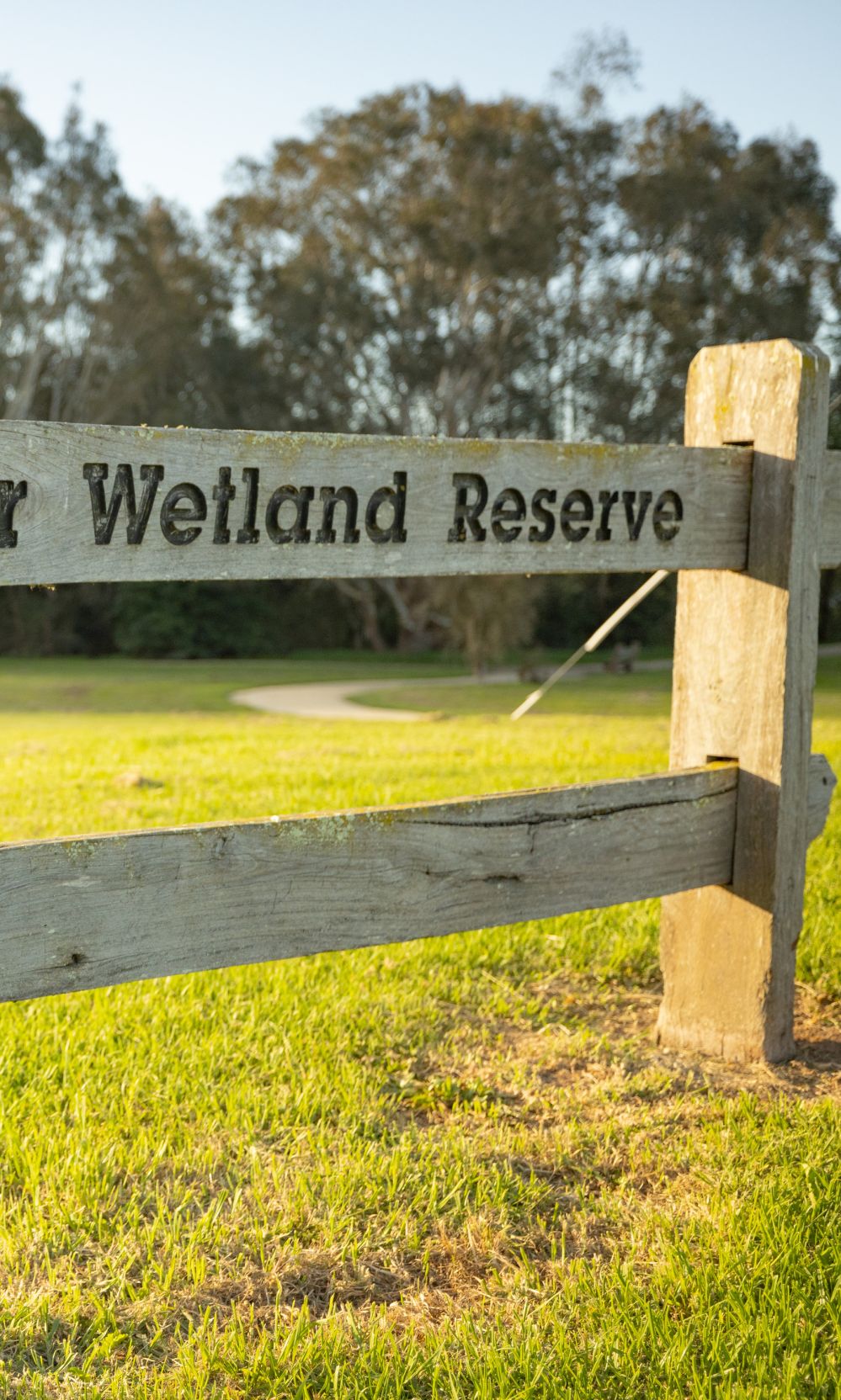 Wetlands 3 1