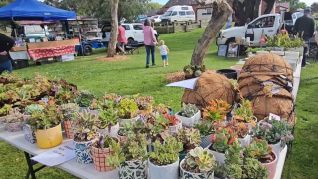 Yarram Scout Market