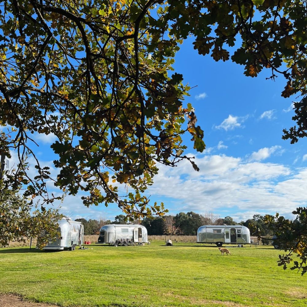 River Oak Camping 2