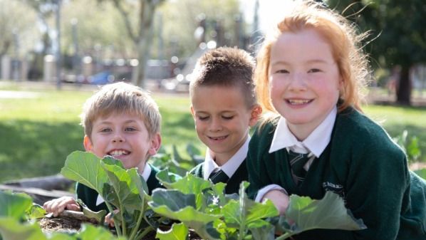 St Patricks Primary School Stratford