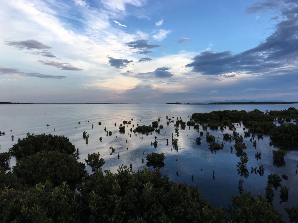 Port Albert Waterview Retreat