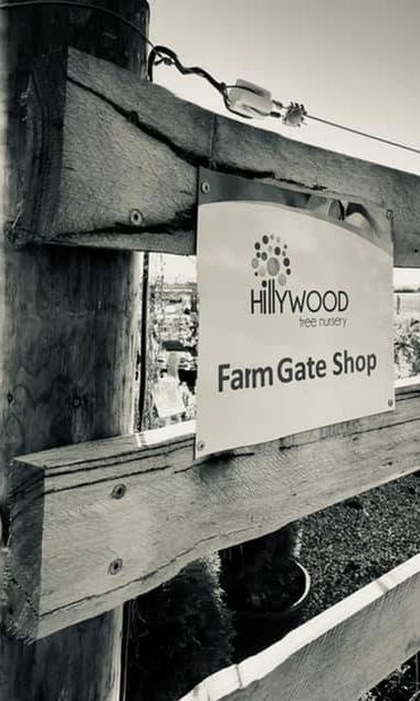 Hillywood Tree Nursery