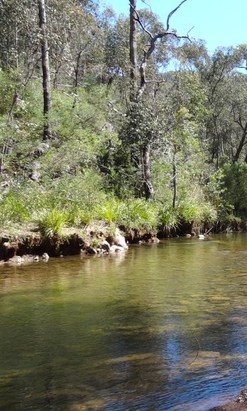 Lake Tarli Karng Bushwalkingmelb