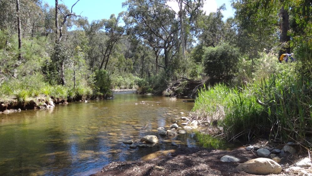 Lake Tarli Karng Bushwalkingmelb