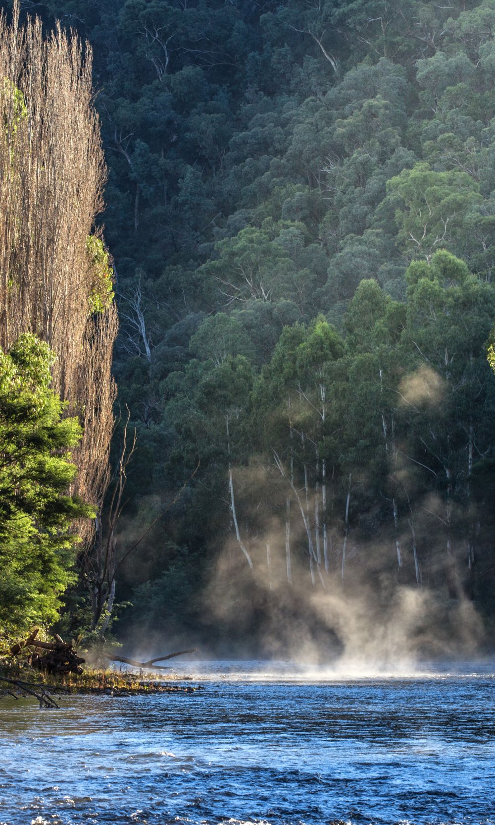 Wonangatta River 4