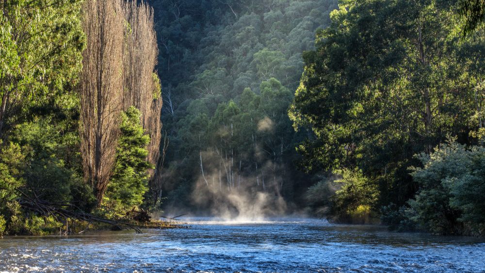 Wonangatta River 4