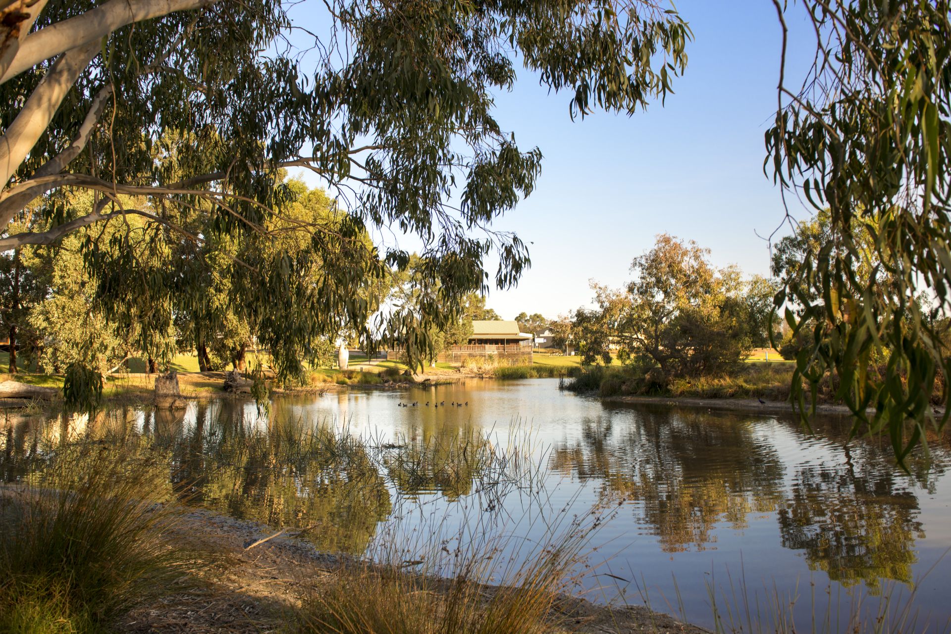 Heyfield Wetlands 007