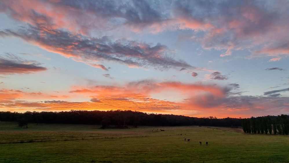 Boobook Farm