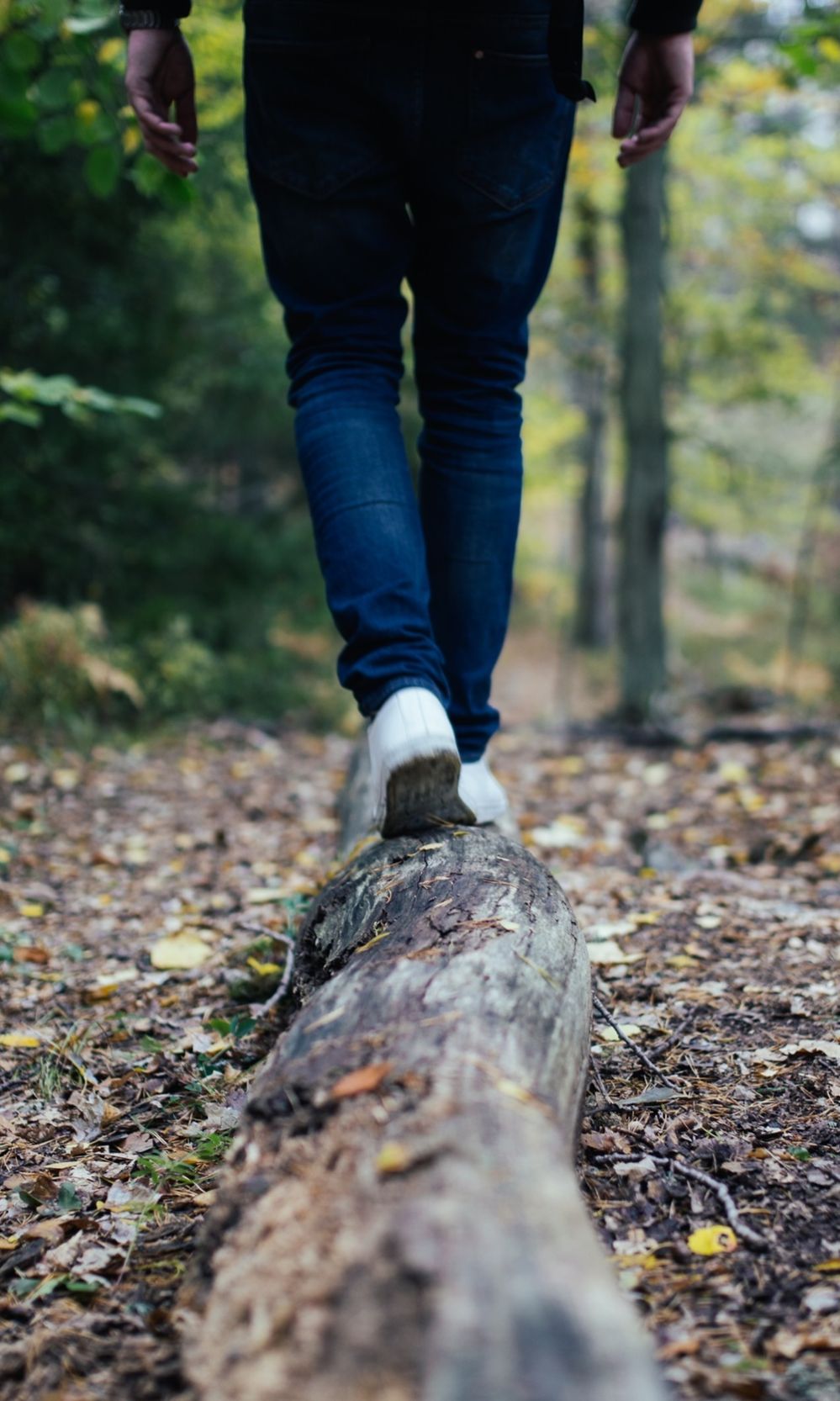 Tree Nature Forest Walking People Wood 892416 Pxhere Com