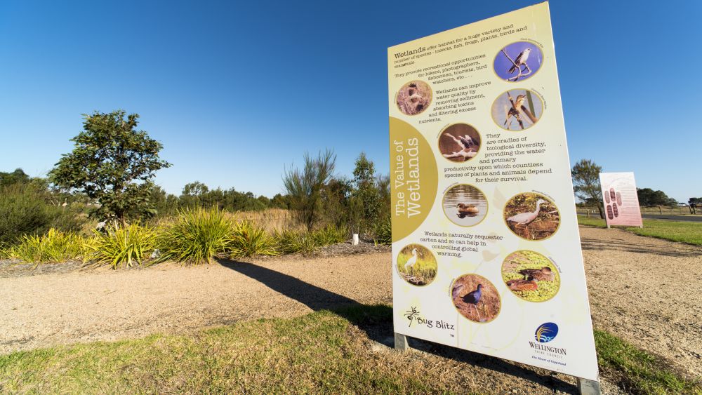 Yarram Wetlands 011