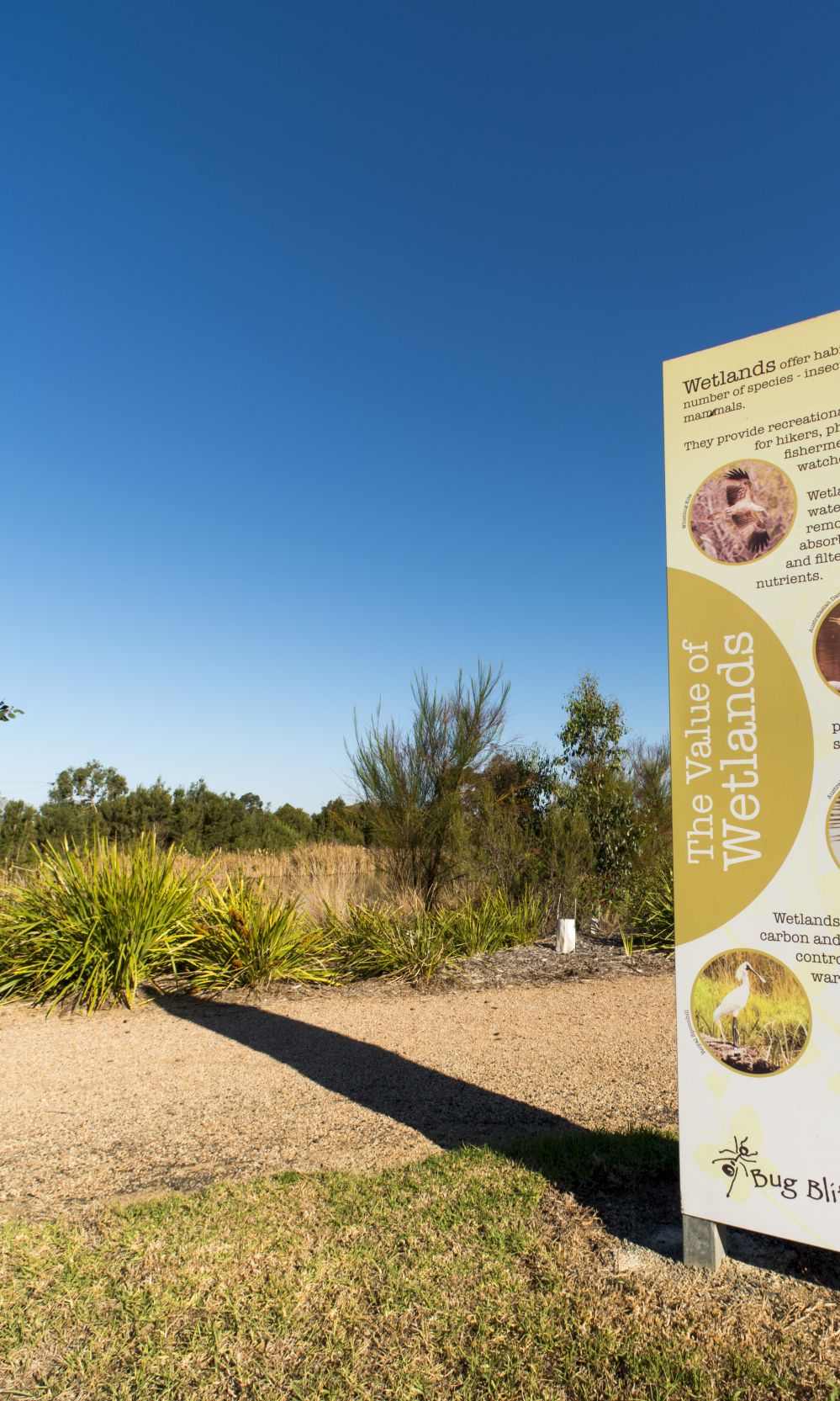 Yarram Wetlands 011